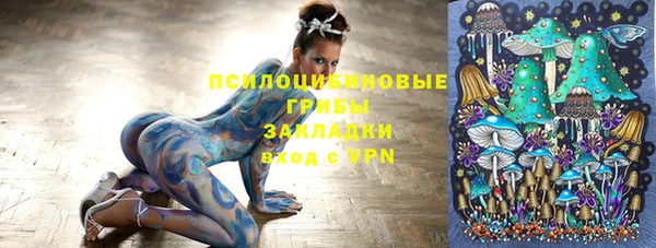 apvp Сатка