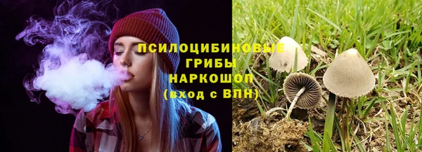 винт Абинск