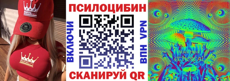 купить наркотики цена  Кудымкар  Псилоцибиновые грибы Magic Shrooms 